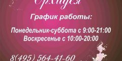  Студия Красоты и Эстетики Орхидея 